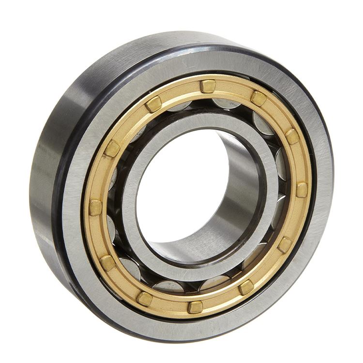 NJ 2234 ECML Klindriku Roller Bearing